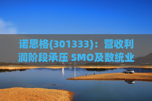 诺思格(301333)：营收利润阶段承压 SMO及数统业务保持稳健增长
