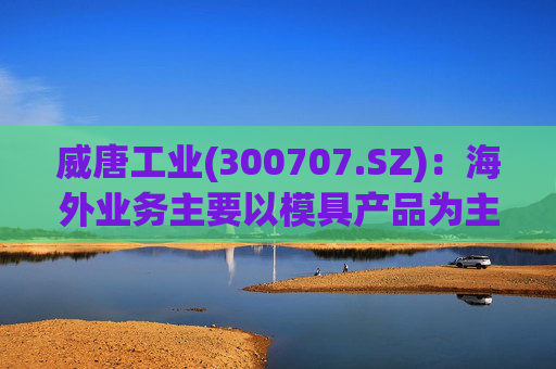 威唐工业(300707.SZ)：海外业务主要以模具产品为主  第1张
