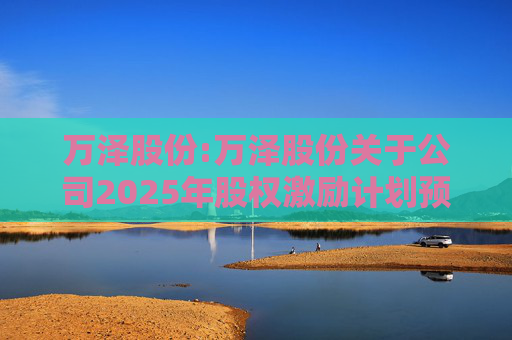 万泽股份:万泽股份关于公司2025年股权激励计划预留授予限制性股票登记完成的公告