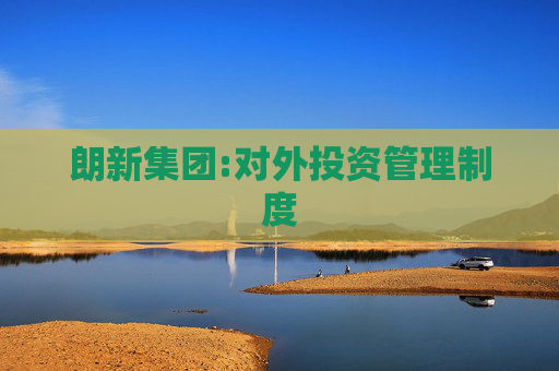 朗新集团:对外投资管理制度