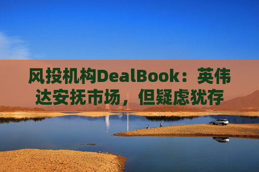风投机构DealBook:英伟达安抚市场,但疑虑犹存