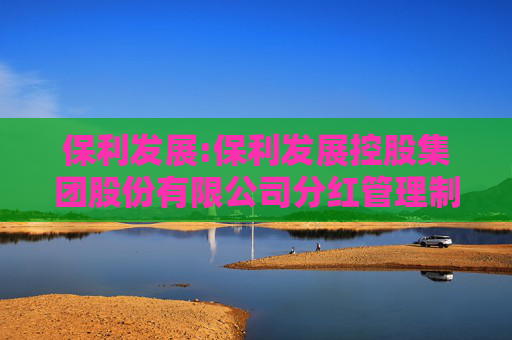 保利发展:保利发展控股集团股份有限公司分红管理制度（2025年11月修订）