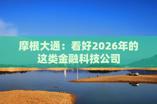 摩根大通：看好2026年的这类金融科技公司
