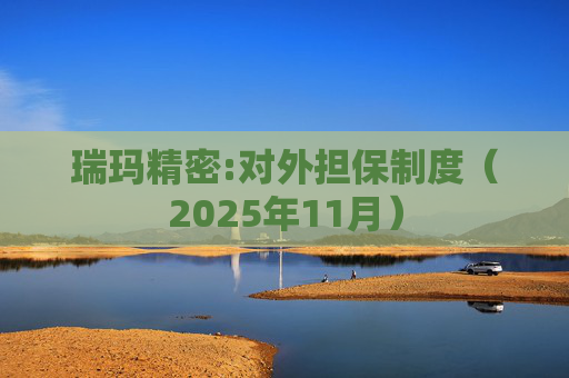 瑞玛精密:对外担保制度（2025年11月）