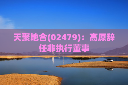 天聚地合(02479):高原辞任非执行董事