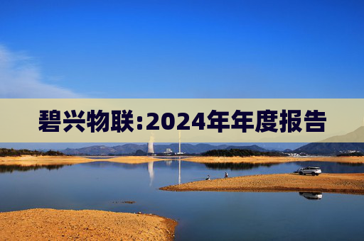 碧兴物联:2024年年度报告  第1张