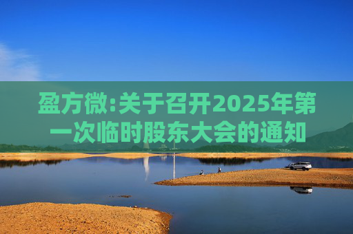 盈方微:关于召开2025年第一次临时股东大会的通知