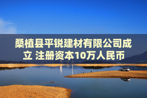 桑植县平锐建材有限公司成立 注册资本10万人民币  第1张