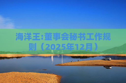 海洋王:董事会秘书工作规则（2025年12月）  第1张
