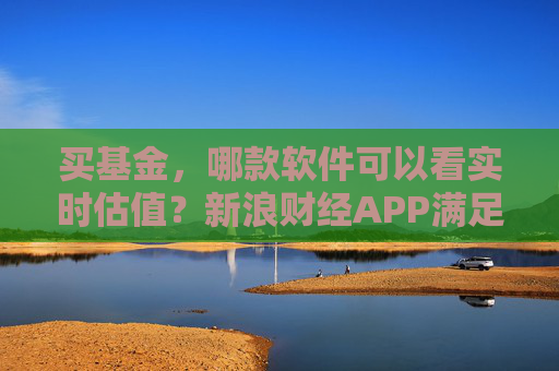 买基金，哪款软件可以看实时估值？新浪财经APP满足你的投资需求