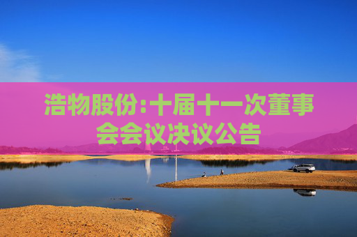 浩物股份:十届十一次董事会会议决议公告  第1张