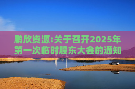 鹏欣资源:关于召开2025年第一次临时股东大会的通知