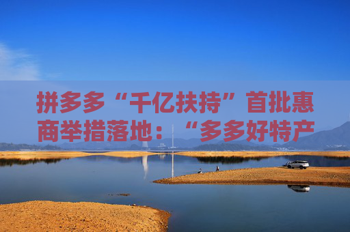 拼多多“千亿扶持”首批惠商举措落地：“多多好特产”等专项启动