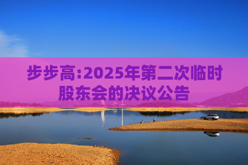 步步高:2025年第二次临时股东会的决议公告