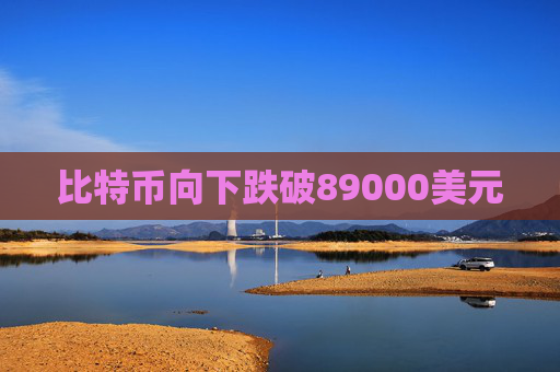 比特币向下跌破89000美元