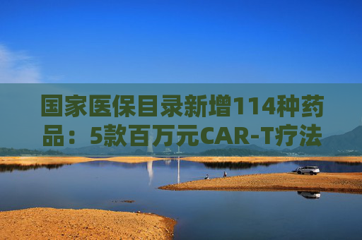 国家医保目录新增114种药品：5款百万元CAR-T疗法纳入商保，企业代表直呼这是“重要里程碑”