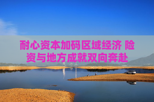 耐心资本加码区域经济 险资与地方成就双向奔赴