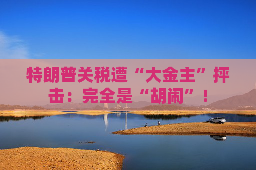 特朗普关税遭“大金主”抨击：完全是“胡闹”！