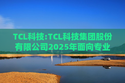 TCL科技:TCL科技集团股份有限公司2025年面向专业投资者公开发行科技创新公司债券（数字经济）（第一期）发行公告