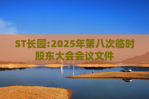 ST长园:2025年第八次临时股东大会会议文件