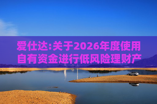 爱仕达:关于2026年度使用自有资金进行低风险理财产品投资的公告