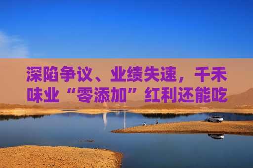 深陷争议、业绩失速,千禾味业“零添加”红利还能吃多久 第1张 深陷争议、业绩失速,千禾味业“零添加”红利还能吃多久 第1张