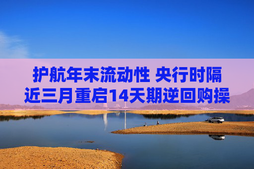 护航年末流动性 央行时隔近三月重启14天期逆回购操作