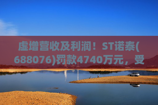 虚增营收及利润！ST诺泰(688076)罚款4740万元，受损投资者可索赔！