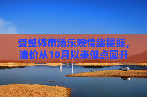 受整体市场乐观情绪提振，油价从10月以来低点回升