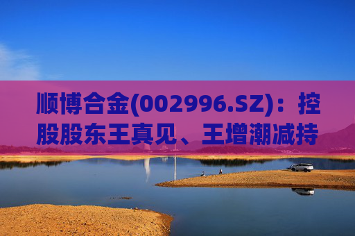 顺博合金(002996.SZ)：控股股东王真见、王增潮减持1371.88万股公司股份