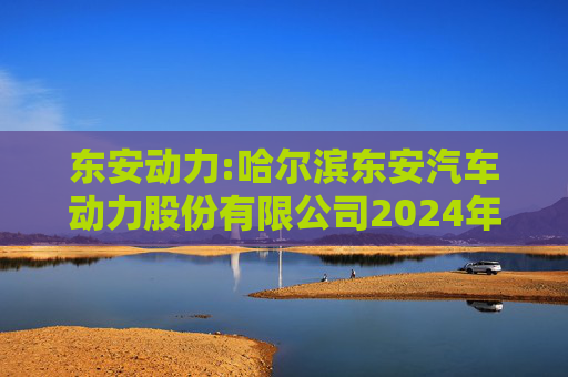 东安动力:哈尔滨东安汽车动力股份有限公司2024年度内部控制审计报告