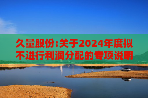久量股份:关于2024年度拟不进行利润分配的专项说明