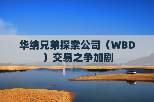 华纳兄弟探索公司（WBD）交易之争加剧