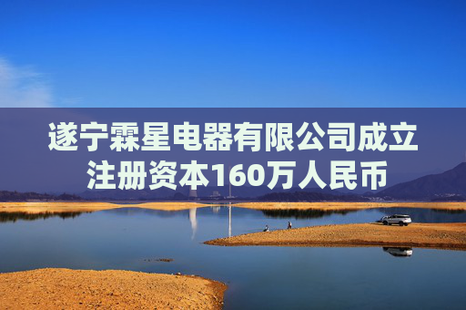 遂宁霖星电器有限公司成立 注册资本160万人民币