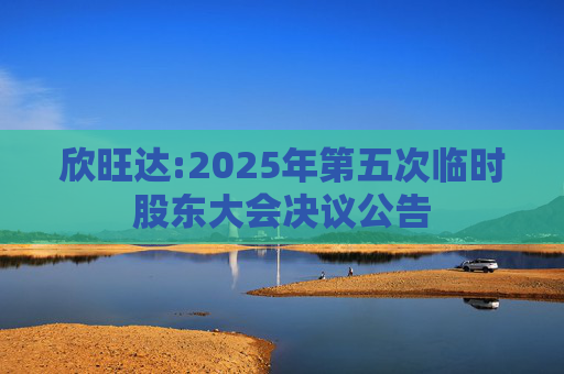 欣旺达:2025年第五次临时股东大会决议公告