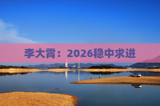 李大霄：2026稳中求进