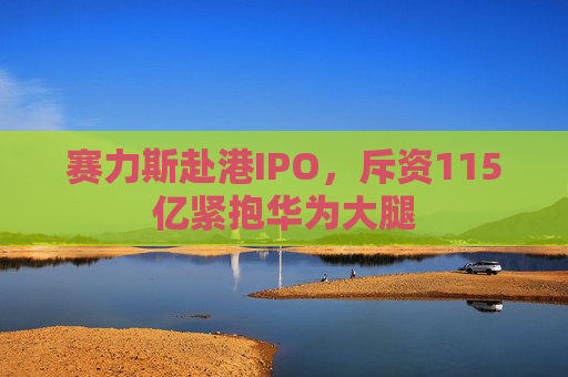 赛力斯赴港IPO，斥资115亿紧抱华为大腿  第1张