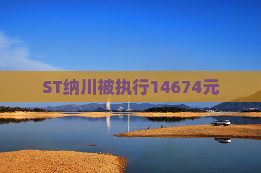 ST纳川被执行14674元  第1张