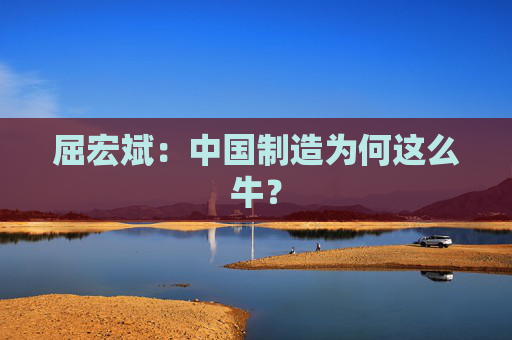 屈宏斌：中国制造为何这么牛？  第1张