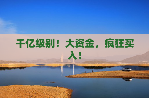 千亿级别!大资金,疯狂买入!
