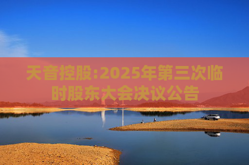 天音控股:2025年第三次临时股东大会决议公告