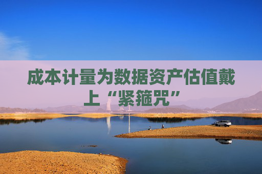 成本计量为数据资产估值戴上“紧箍咒”