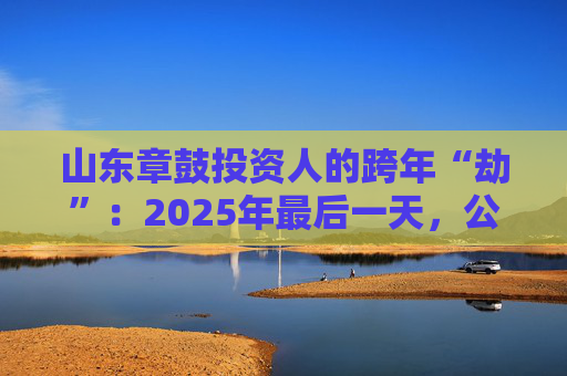山东章鼓投资人的跨年“劫”：2025年最后一天，公司披露被中国证监会立案调查