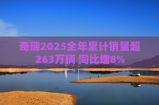 奇瑞2025全年累计销量超263万辆 同比增8%