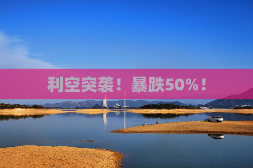 利空突袭!暴跌50%! 第1张 利空突袭!暴跌50%! 第1张
