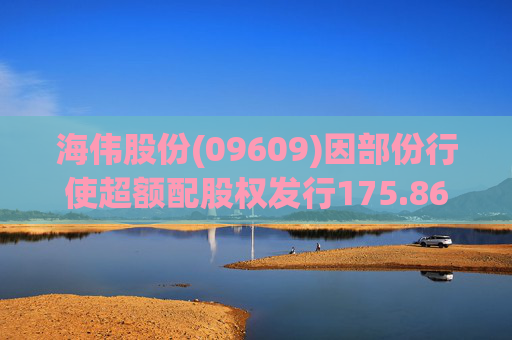 海伟股份(09609)因部份行使超额配股权发行175.86万股