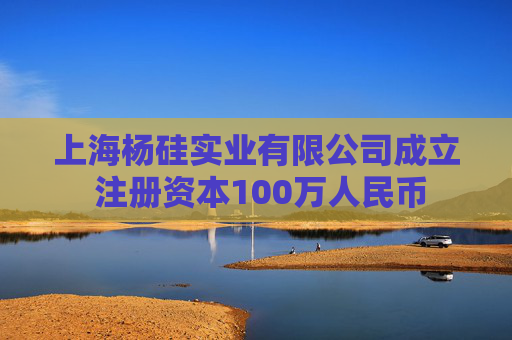 上海杨硅实业有限公司成立 注册资本100万人民币 第1张 上海杨硅实业有限公司成立 注册资本100万人民币 第1张