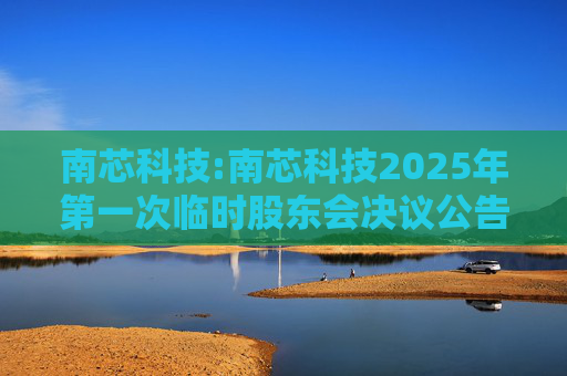 南芯科技:南芯科技2025年第一次临时股东会决议公告  第1张