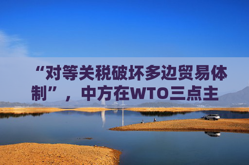 “对等关税破坏多边贸易体制”,中方在WTO三点主张发言,引发广泛呼应
