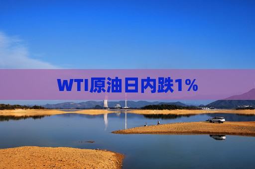 WTI原油日内跌1%  第1张